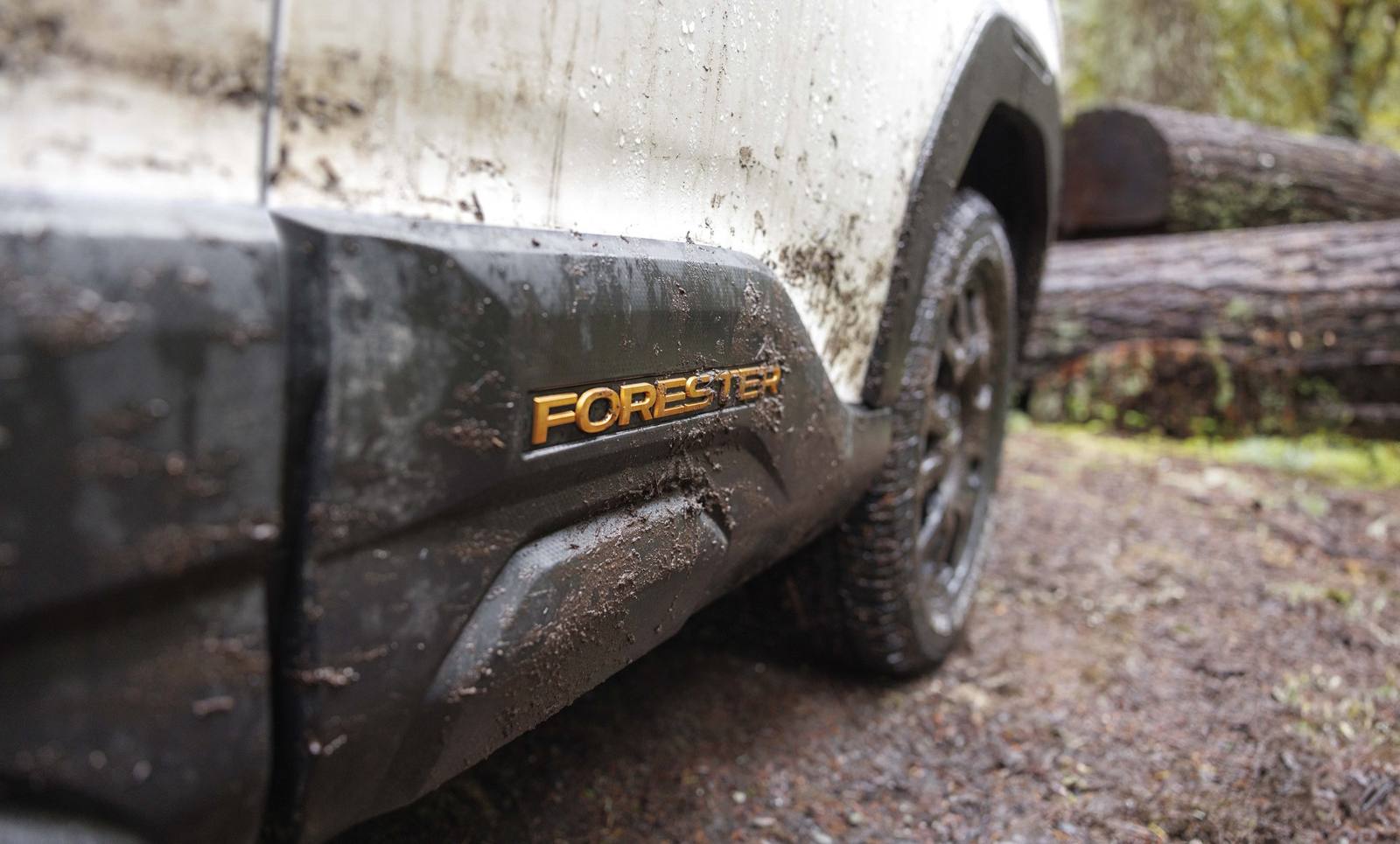 Forester Wilderness (SL)