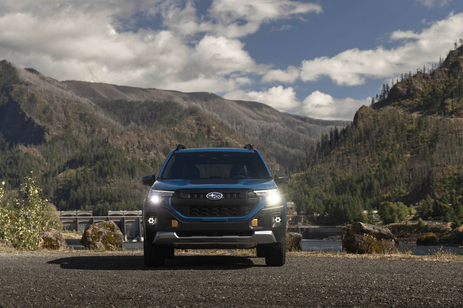 Forester Wilderness (SL)
