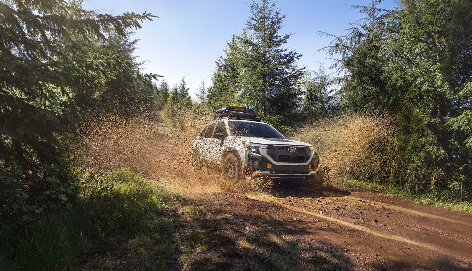 Forester Wilderness (SL)