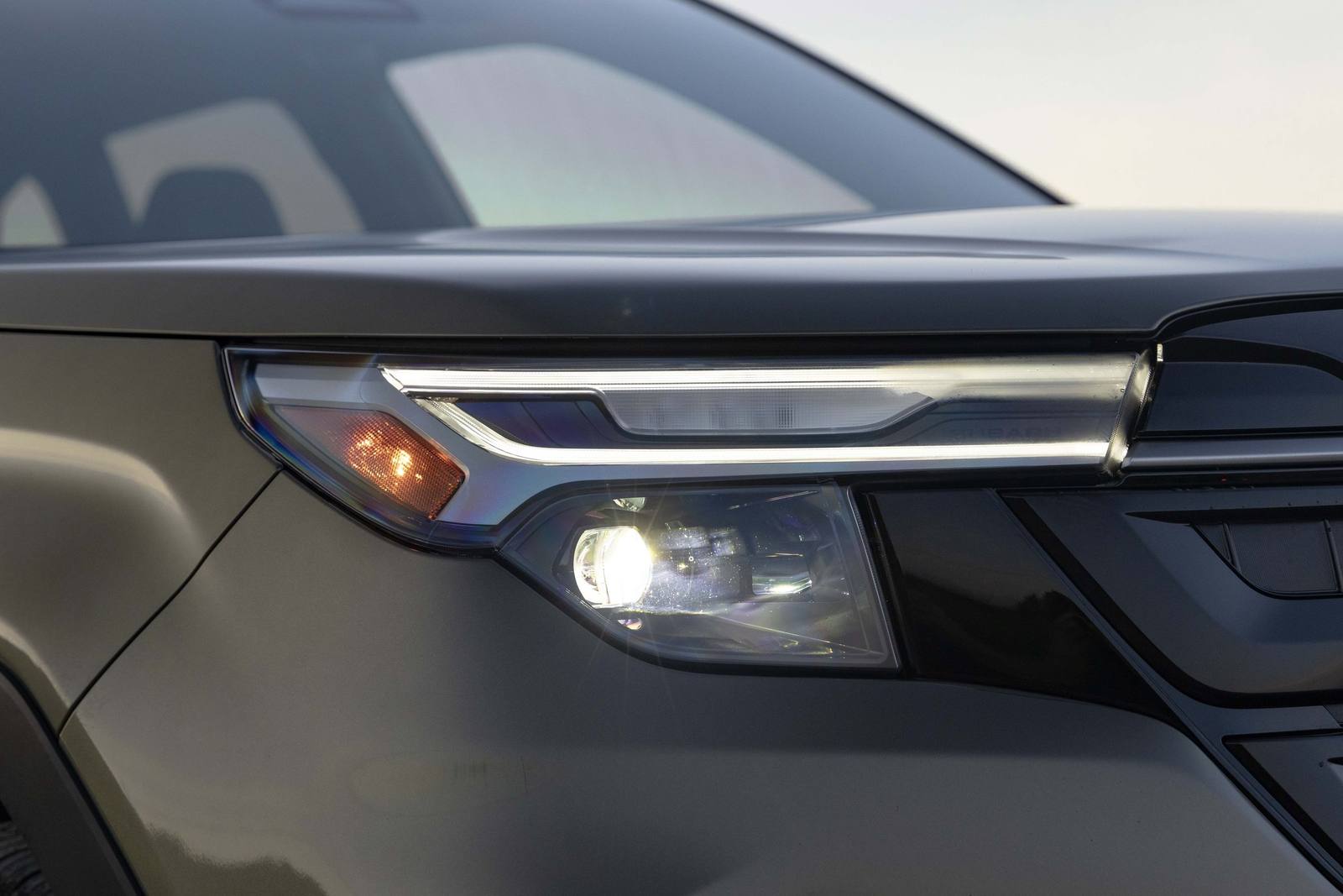 Forester Hybrid (SL)