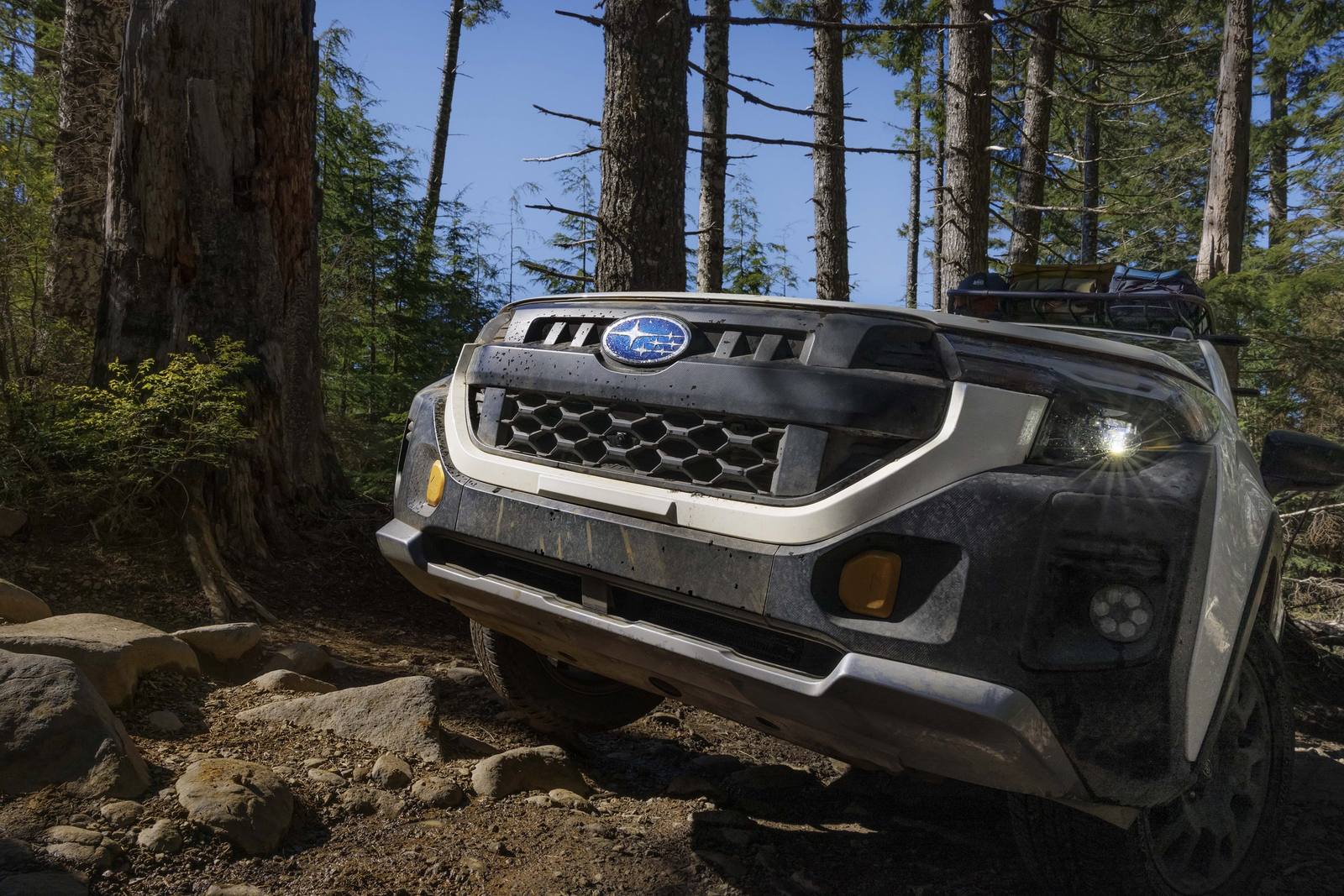 Forester Wilderness (SL)