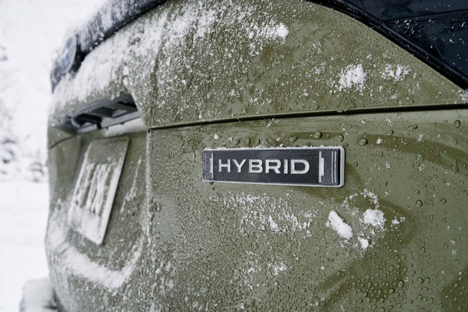 Forester Hybrid (SL)