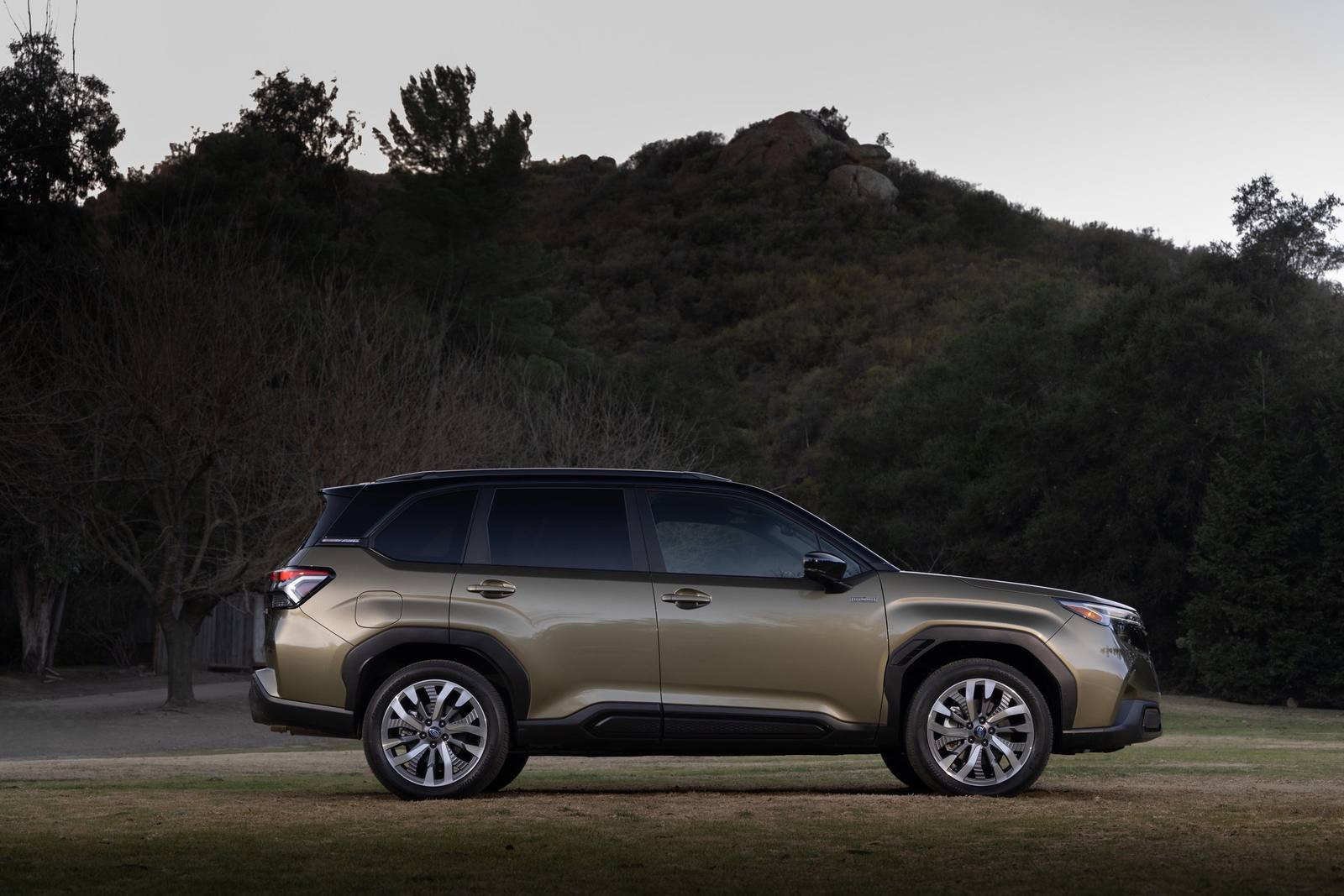 Forester Hybrid (SL)
