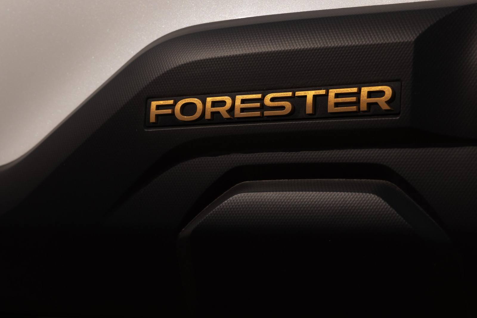 Forester Wilderness (SL)