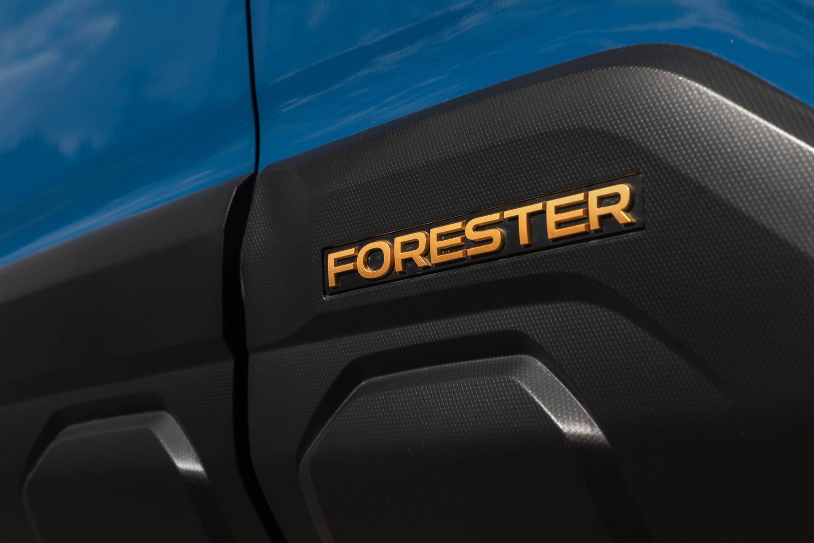 Forester Wilderness (SL)