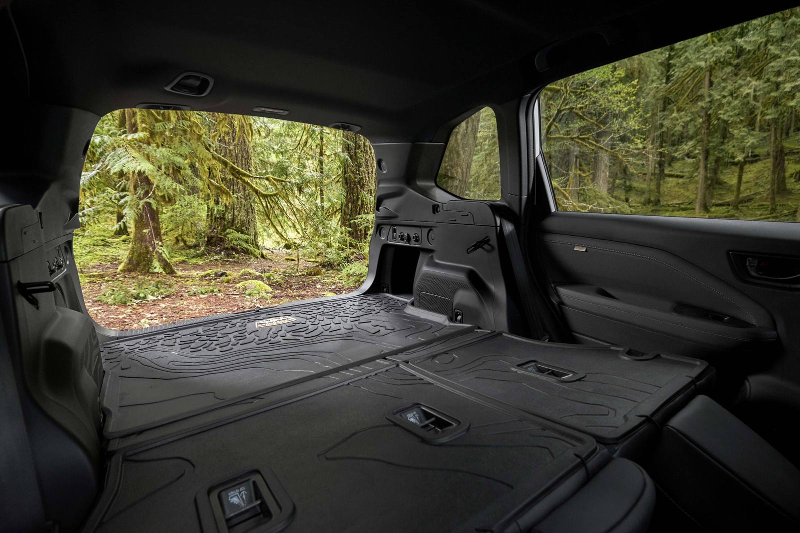 Forester Wilderness (SL)