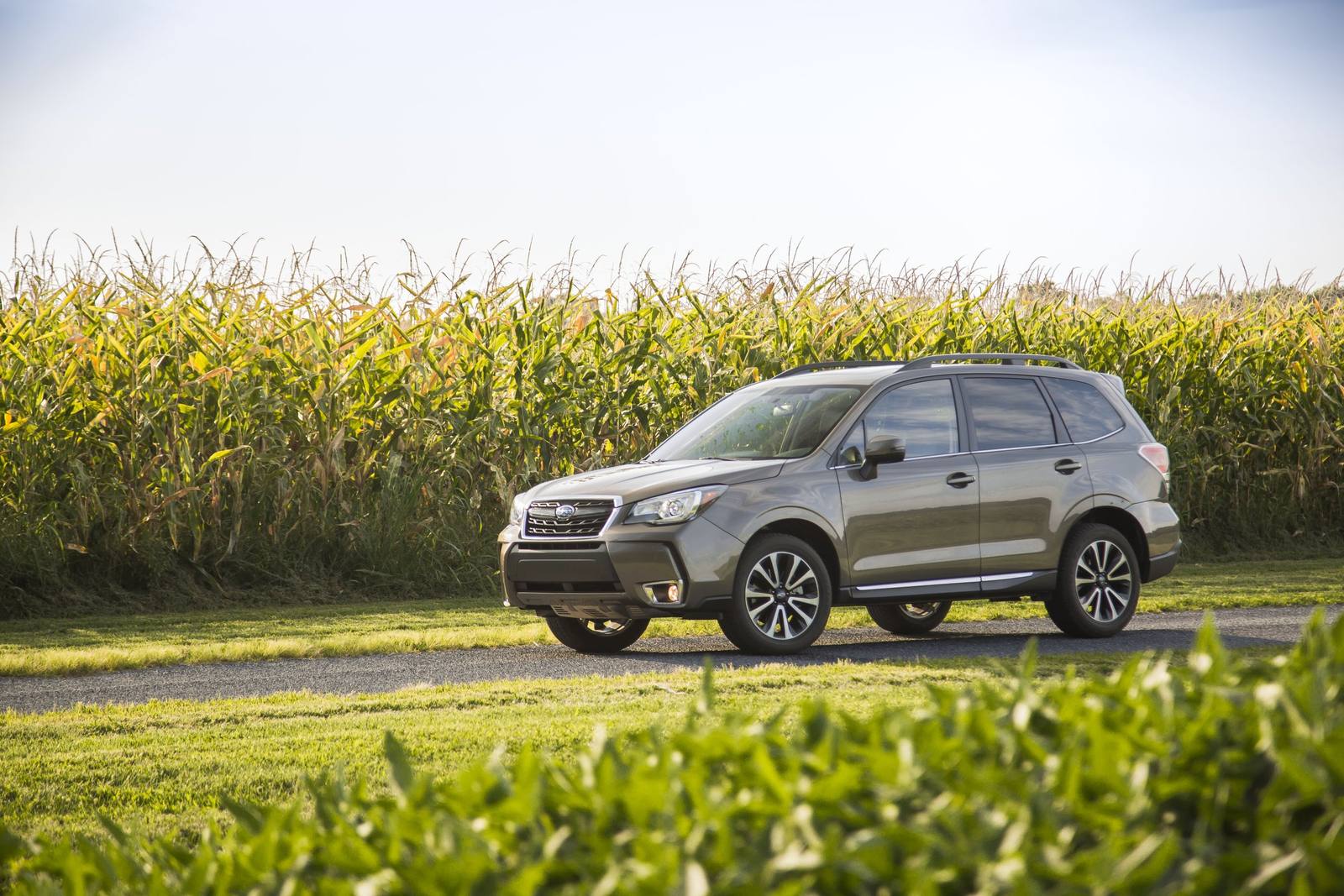 Forester 2.0XT Turbo (SJ)