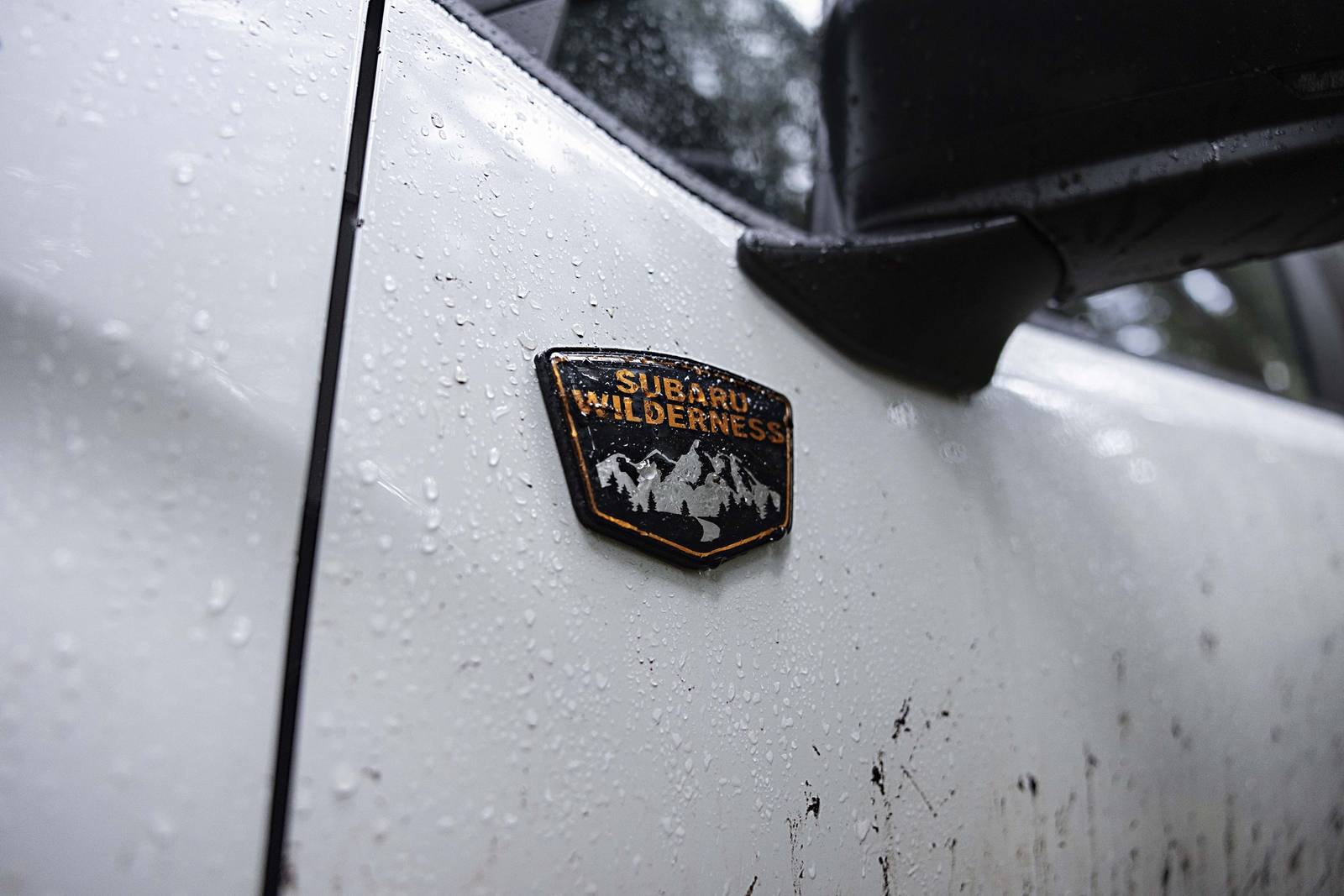 Forester Wilderness (SL)