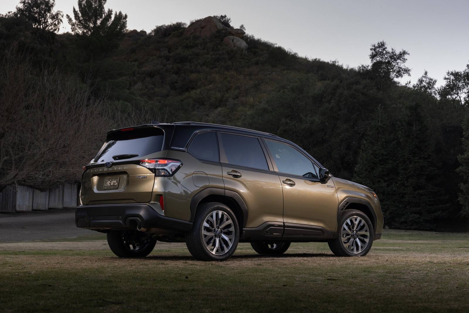 Forester Hybrid (SL)