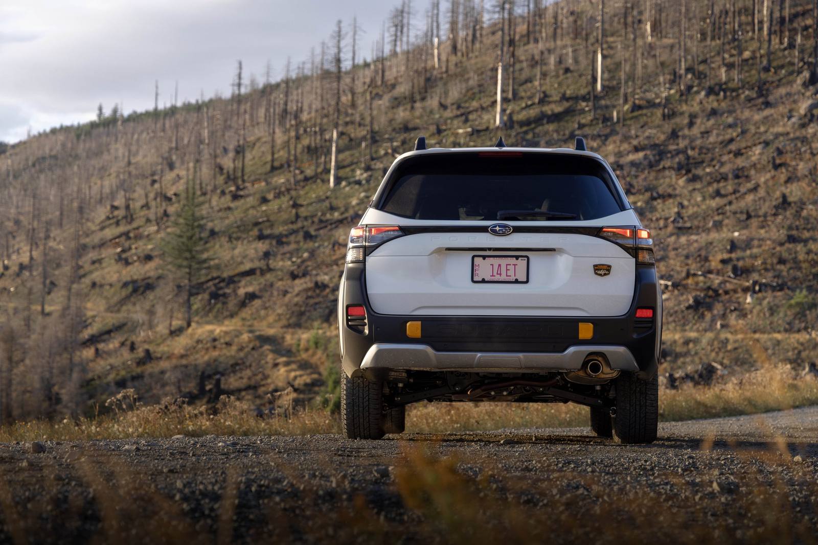 Forester Wilderness (SL)