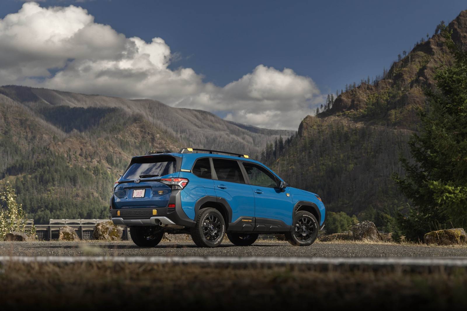 Forester Wilderness (SL)