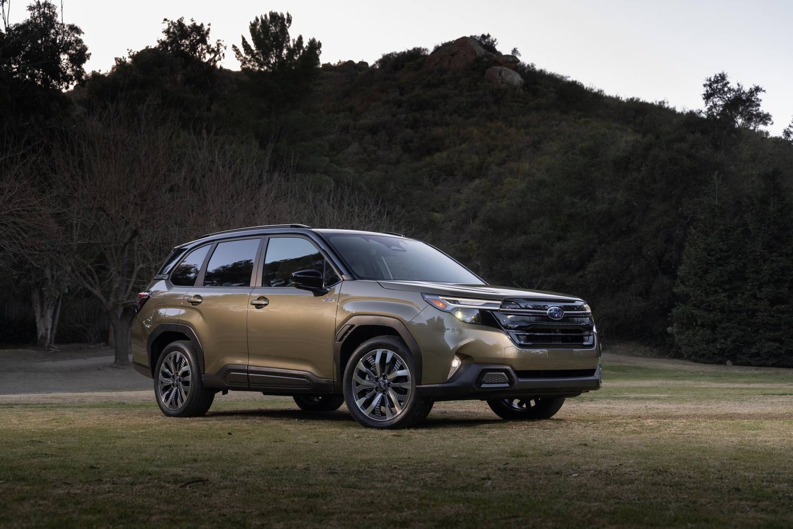 Forester Hybrid (SL)