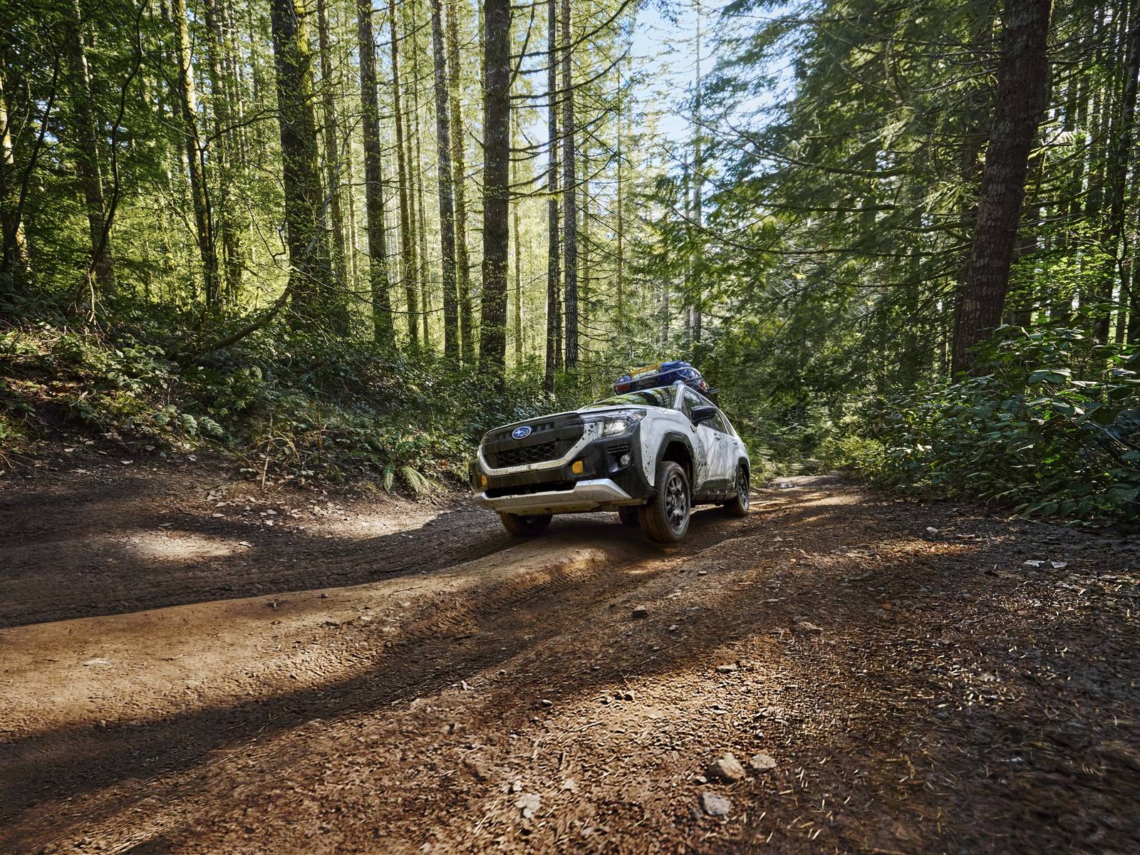 Forester Wilderness (SL)