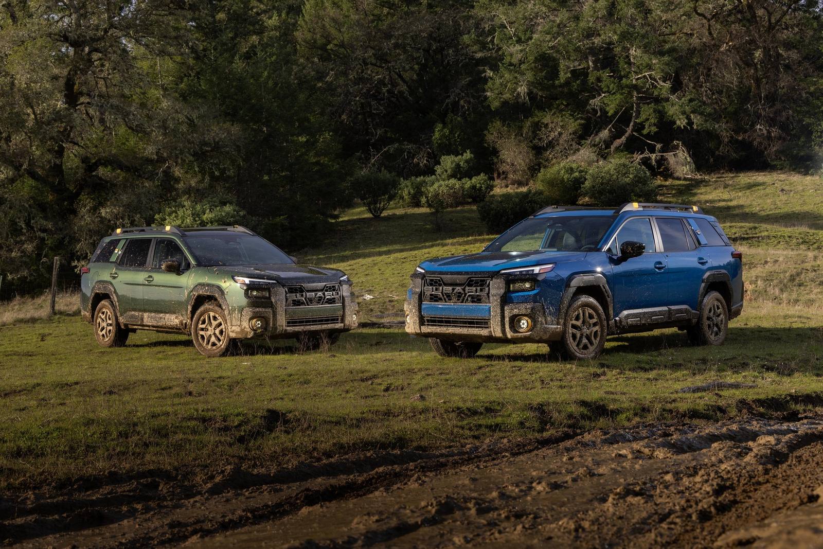 Outback Wilderness