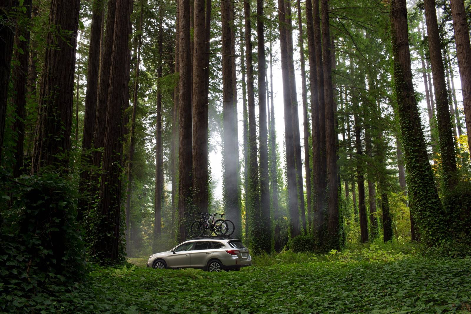 Outback 3.6R H6 (BS)