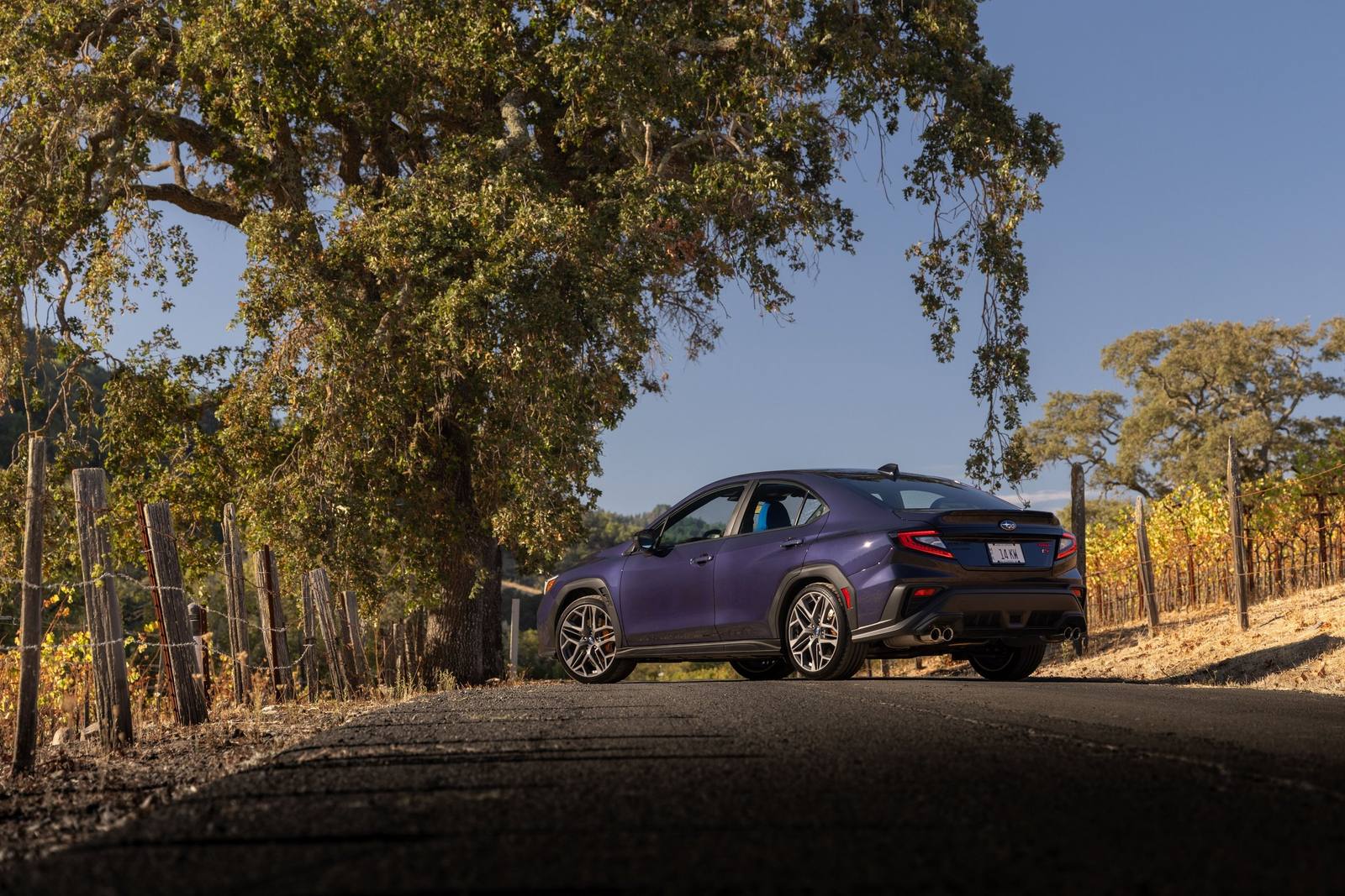 WRX tS