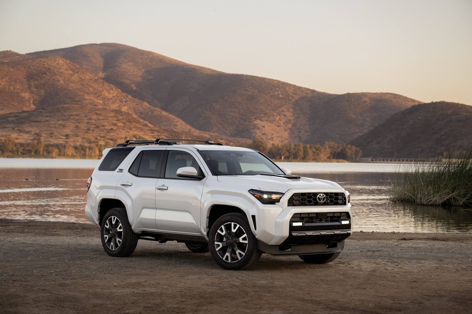 N500 TRD Sport 2.4 i-FORCE