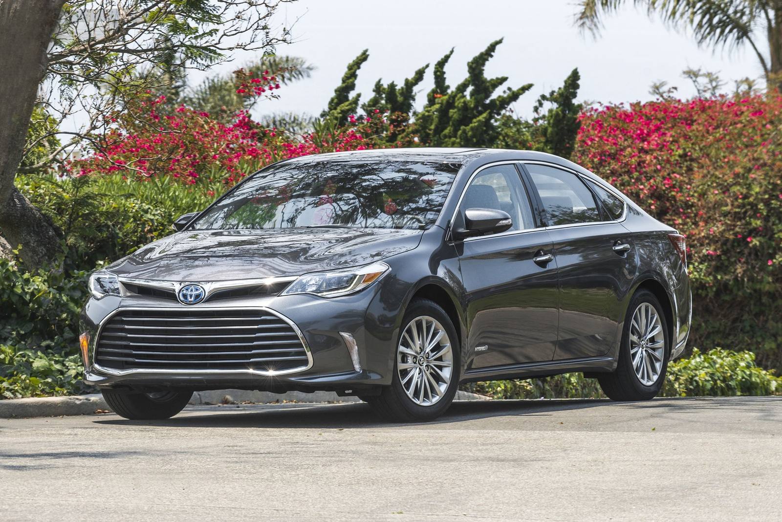 Hybrid XLE Premium