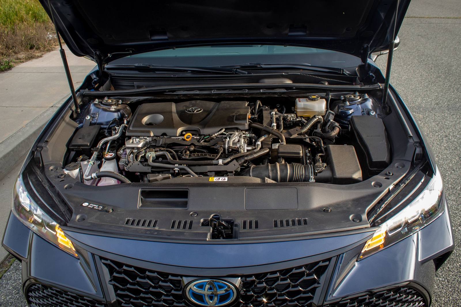 Hybrid XLE (XX50)