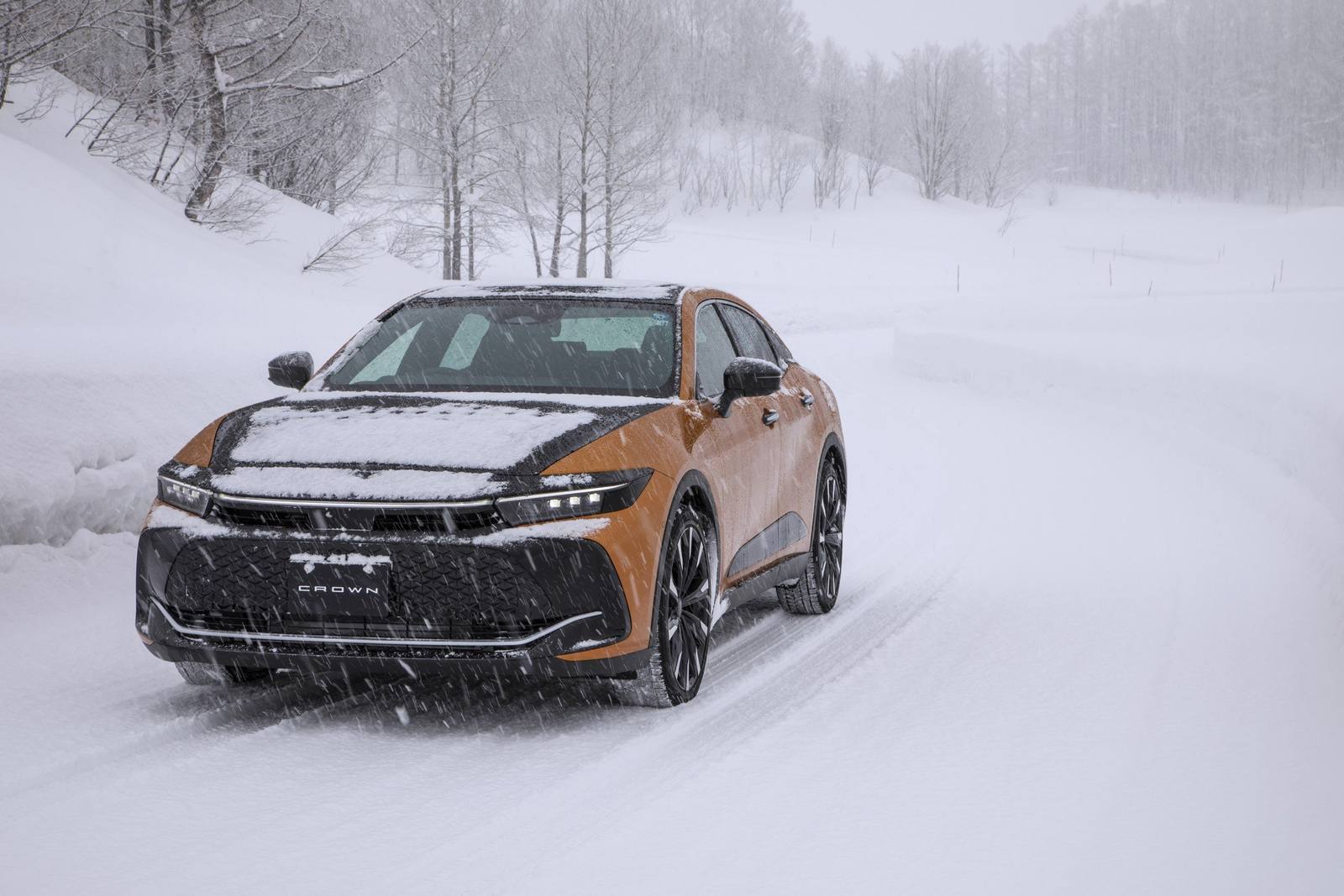 S235 2.4 Turbo Hybrid MAX (16th gen)