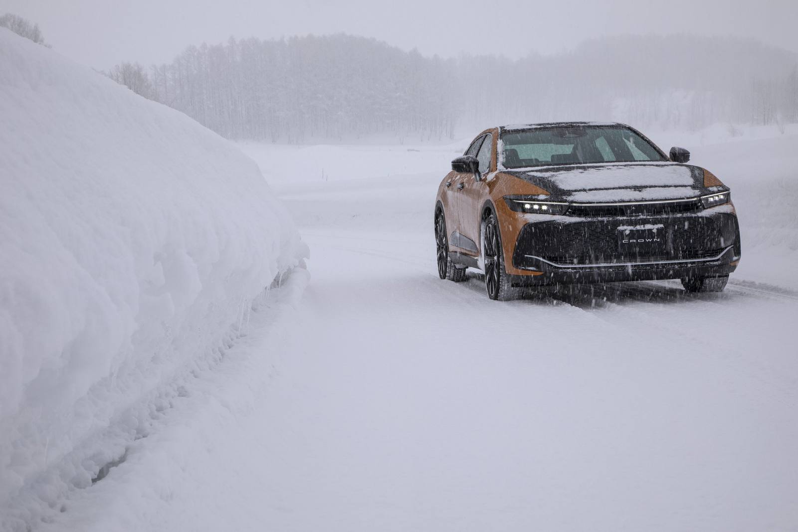 S235 2.4 Turbo Hybrid MAX (16th gen)