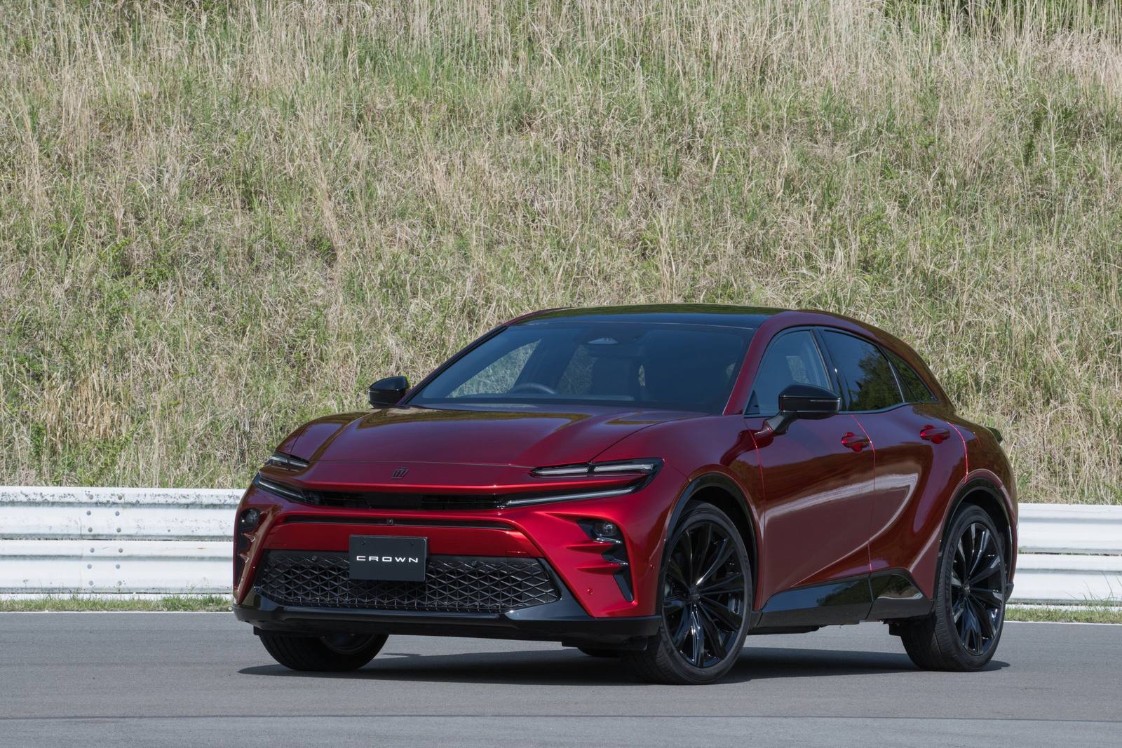 Sport RS 2.5 Plug-in Hybrid E-Four SUV