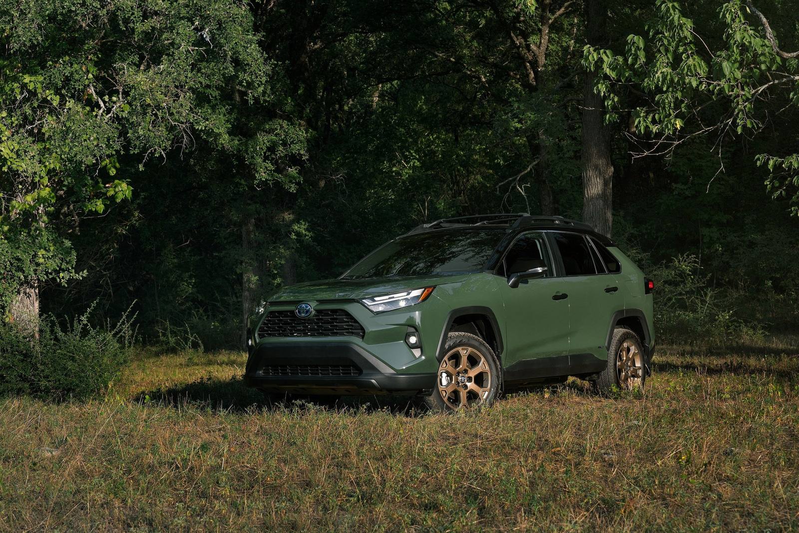 XA50 2.5 Hybrid AWD-i (US)