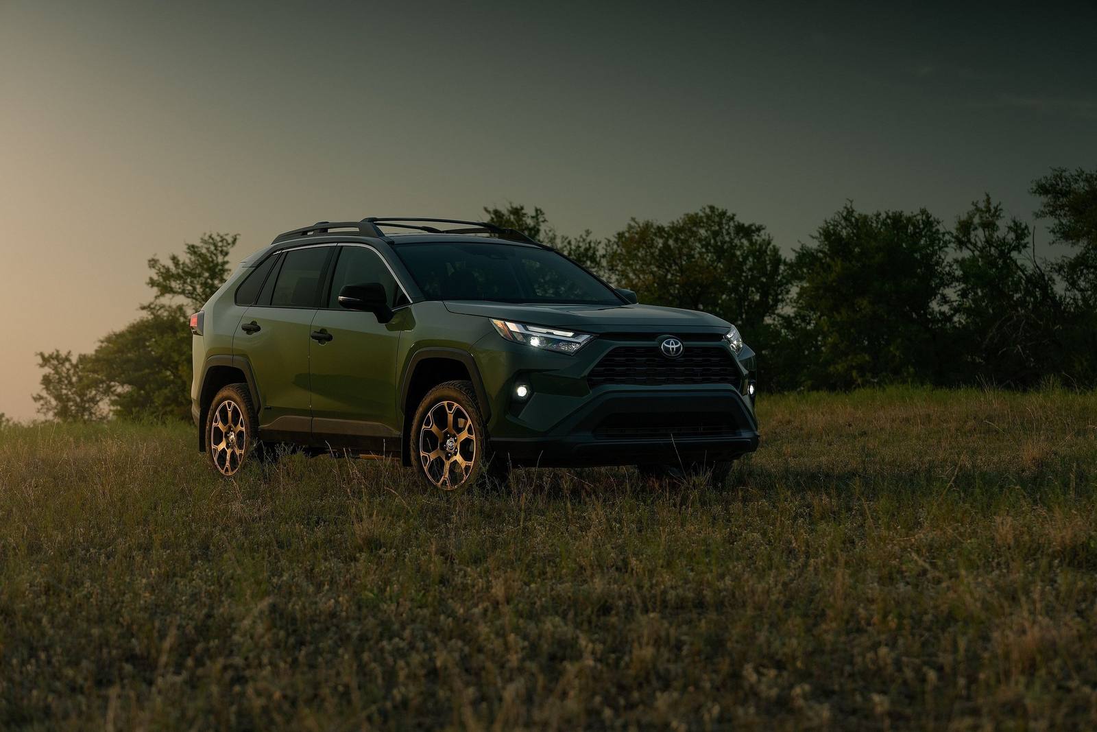XA50 2.5 Hybrid AWD-i (US)