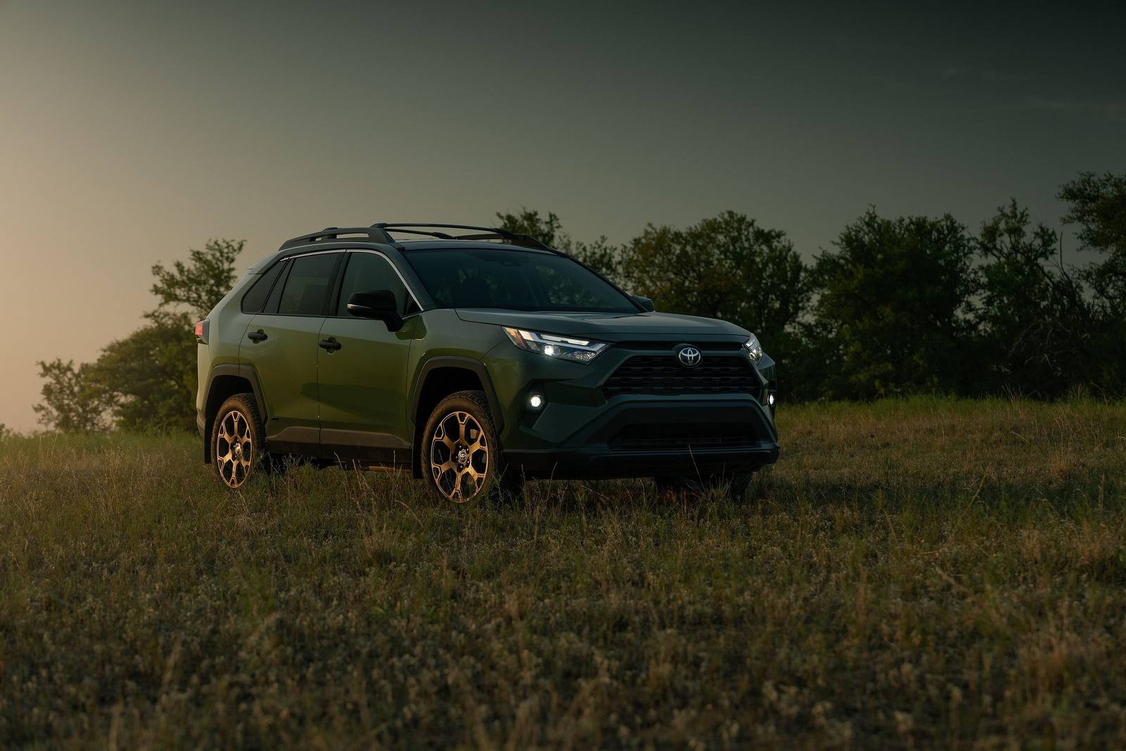 XA50 2.5 Hybrid AWD-i (US)