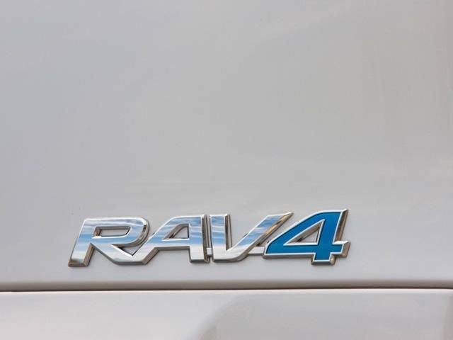 XA40 RAV4 EV (Tesla)