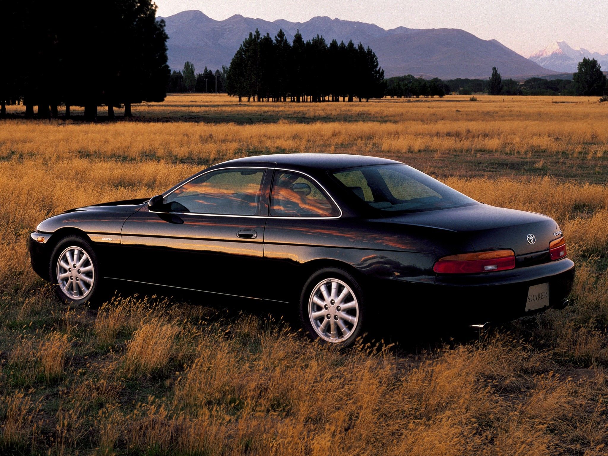 Soarer