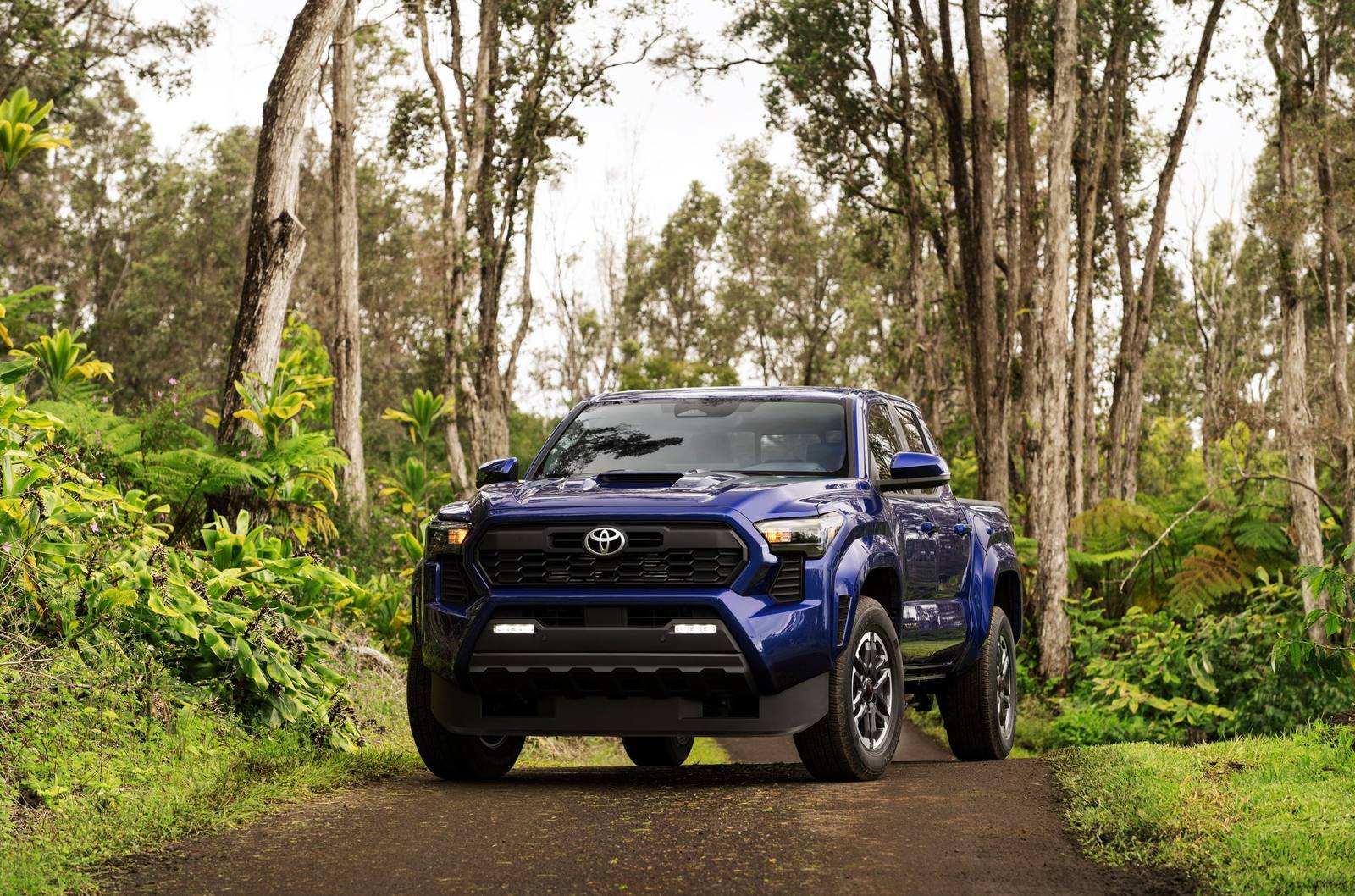N400 TRD Sport 2.4 T24A-FTS 6MT