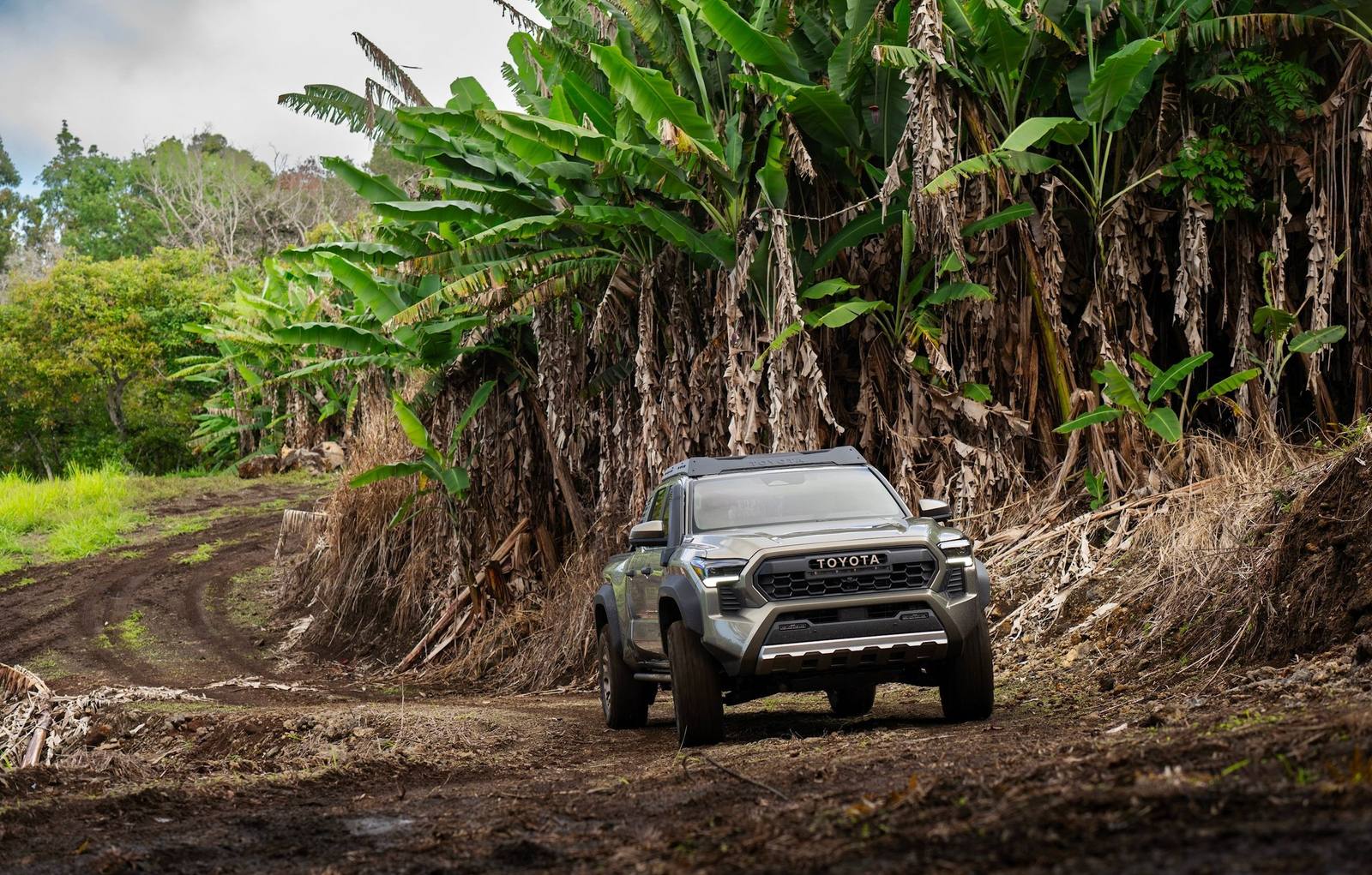 N400 Trailhunter i-FORCE MAX Hybrid