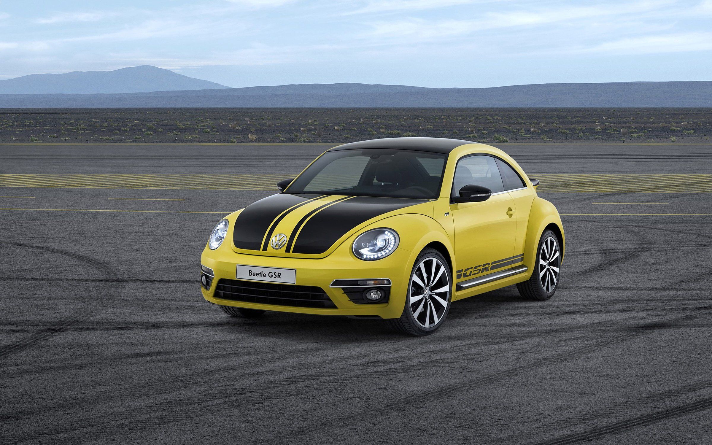 Beetle