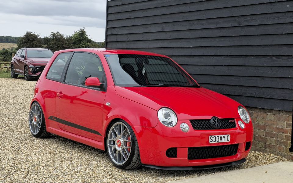 Lupo