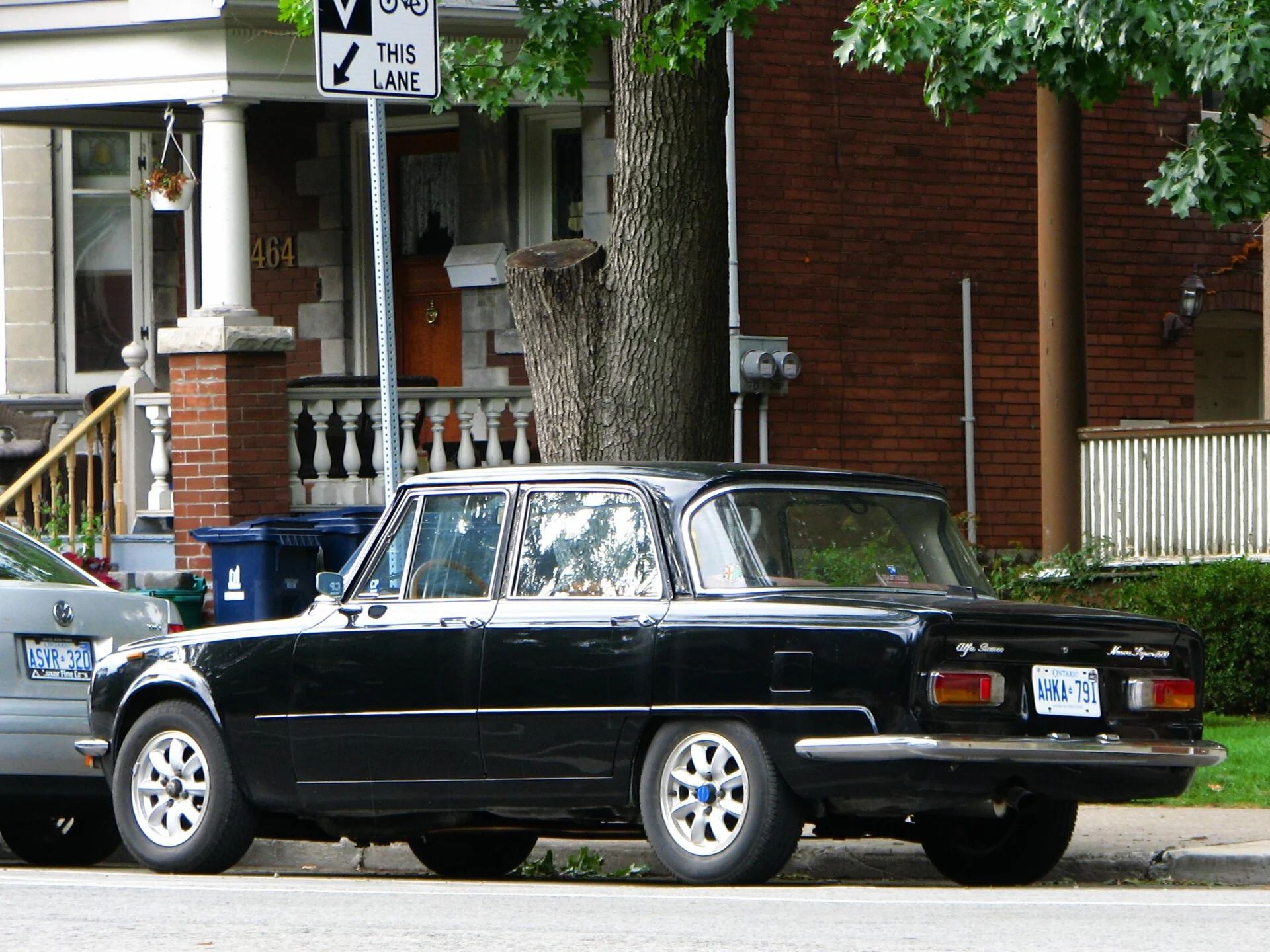 Giulia (105)