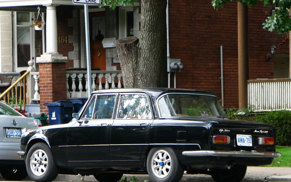 Giulia (105)