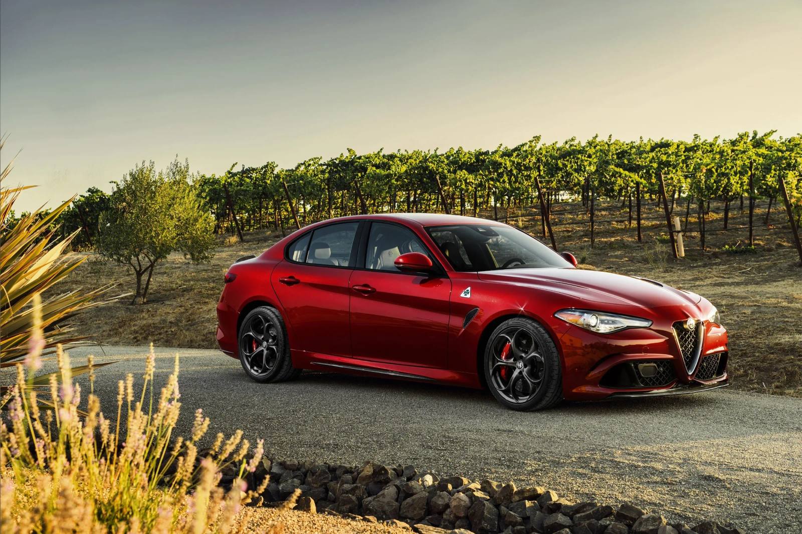 Quadrifoglio