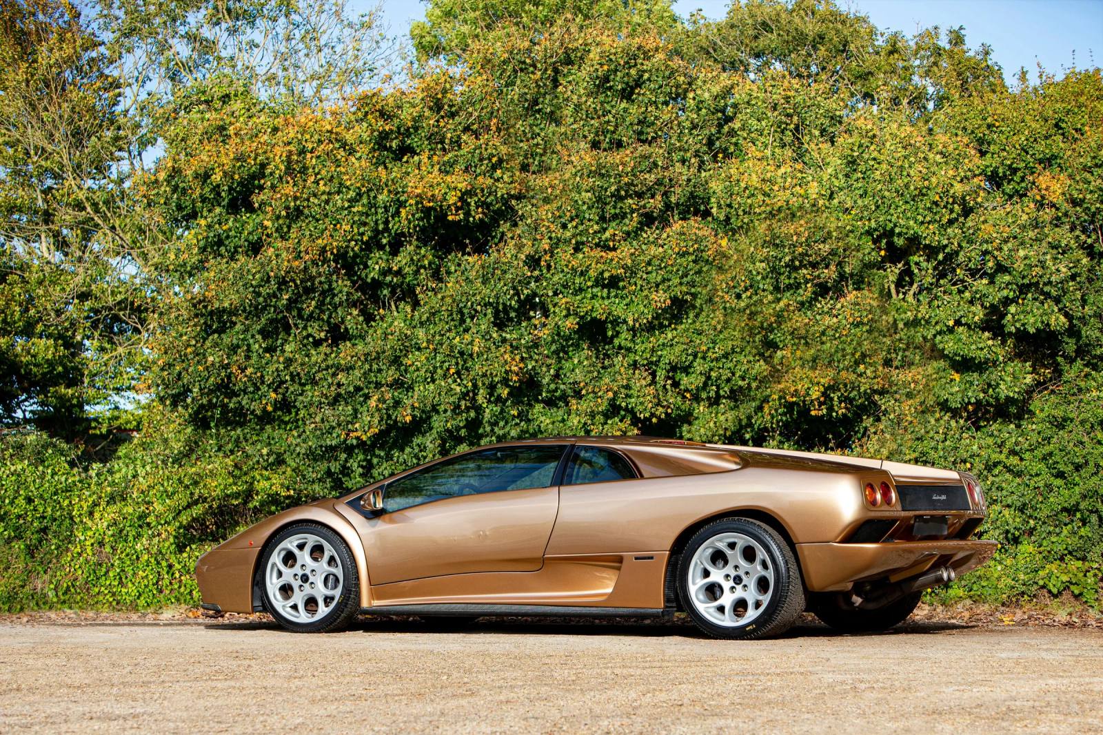 Diablo VT 6.0