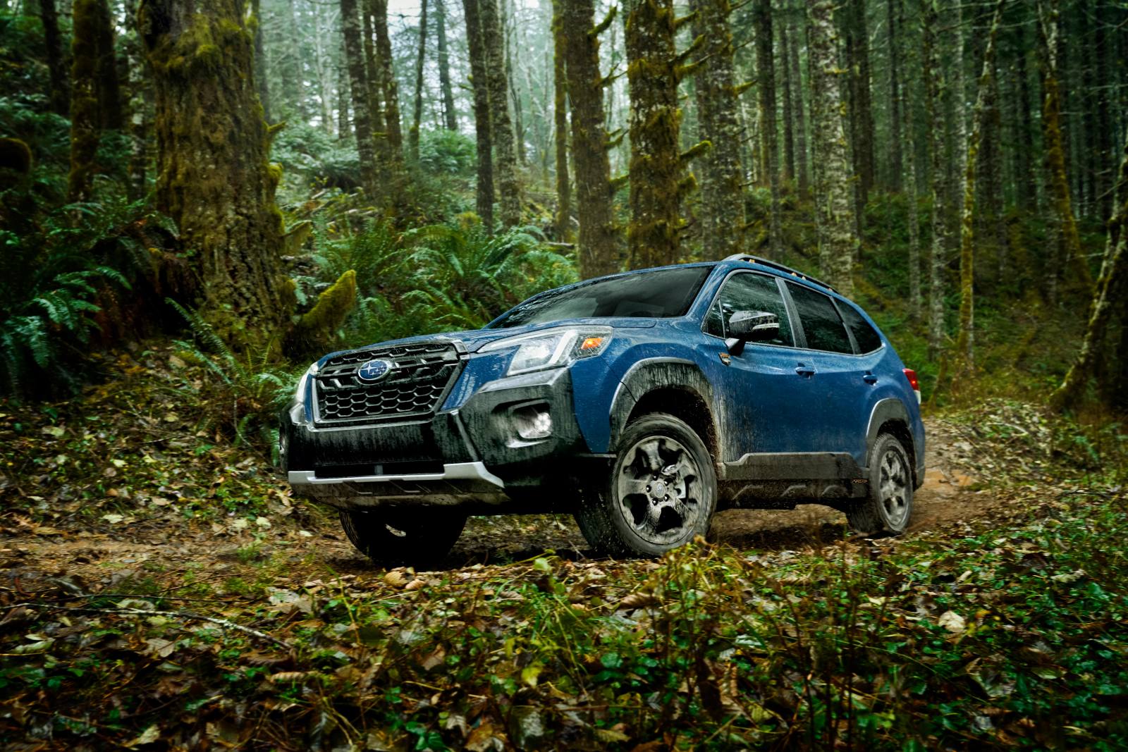Forester Wilderness (SK)