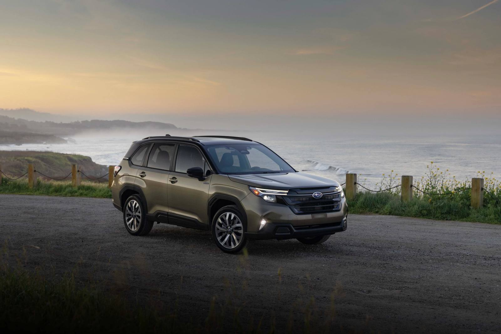 Forester Hybrid (SL)
