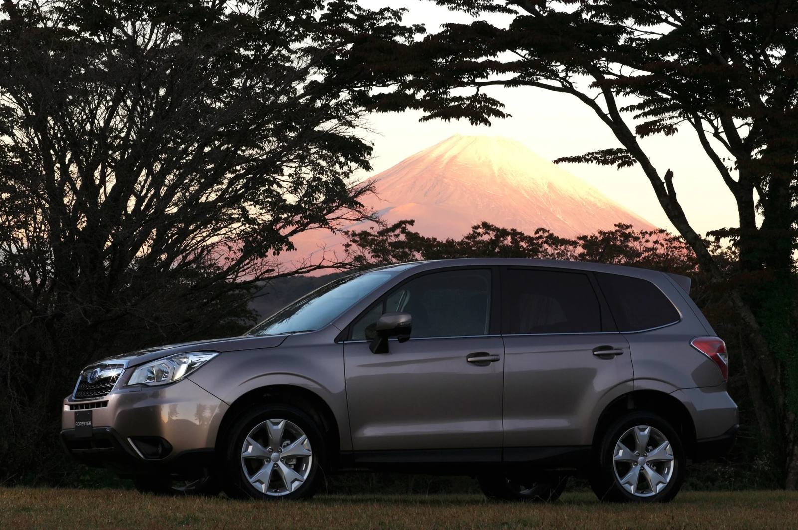 Forester 2.5i (SJ)