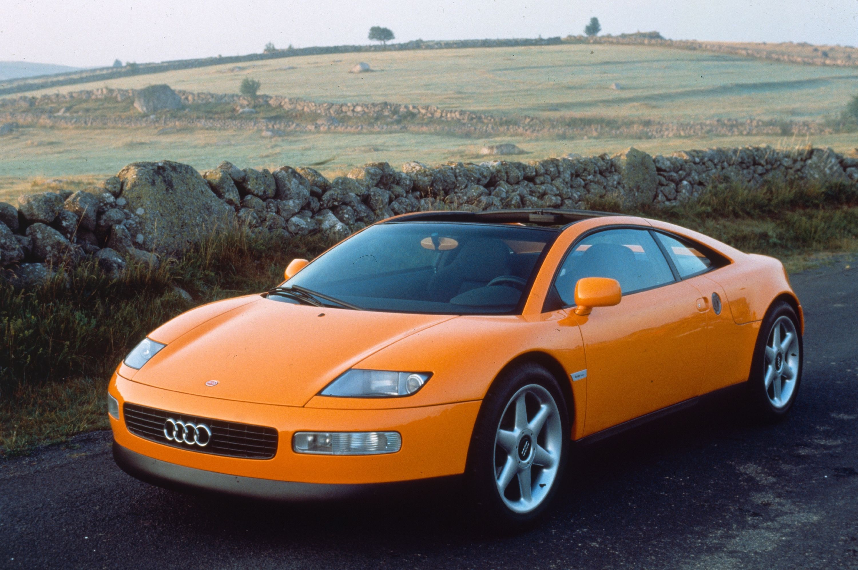 quattro Spyder