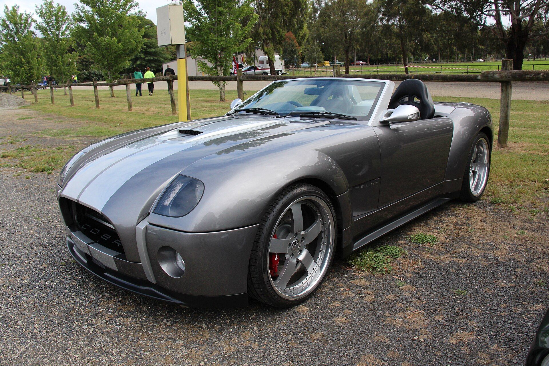 Shelby Cobra Concept
