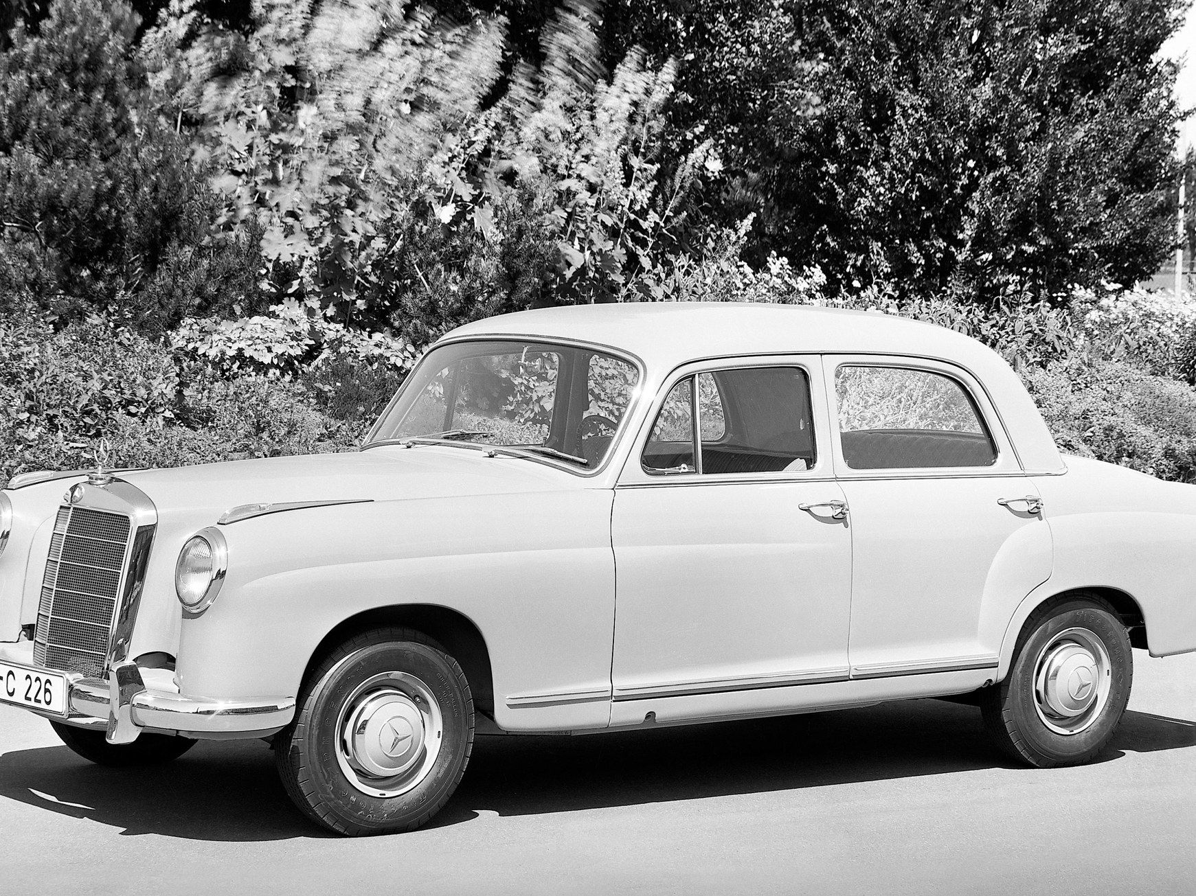 219 (W105)
