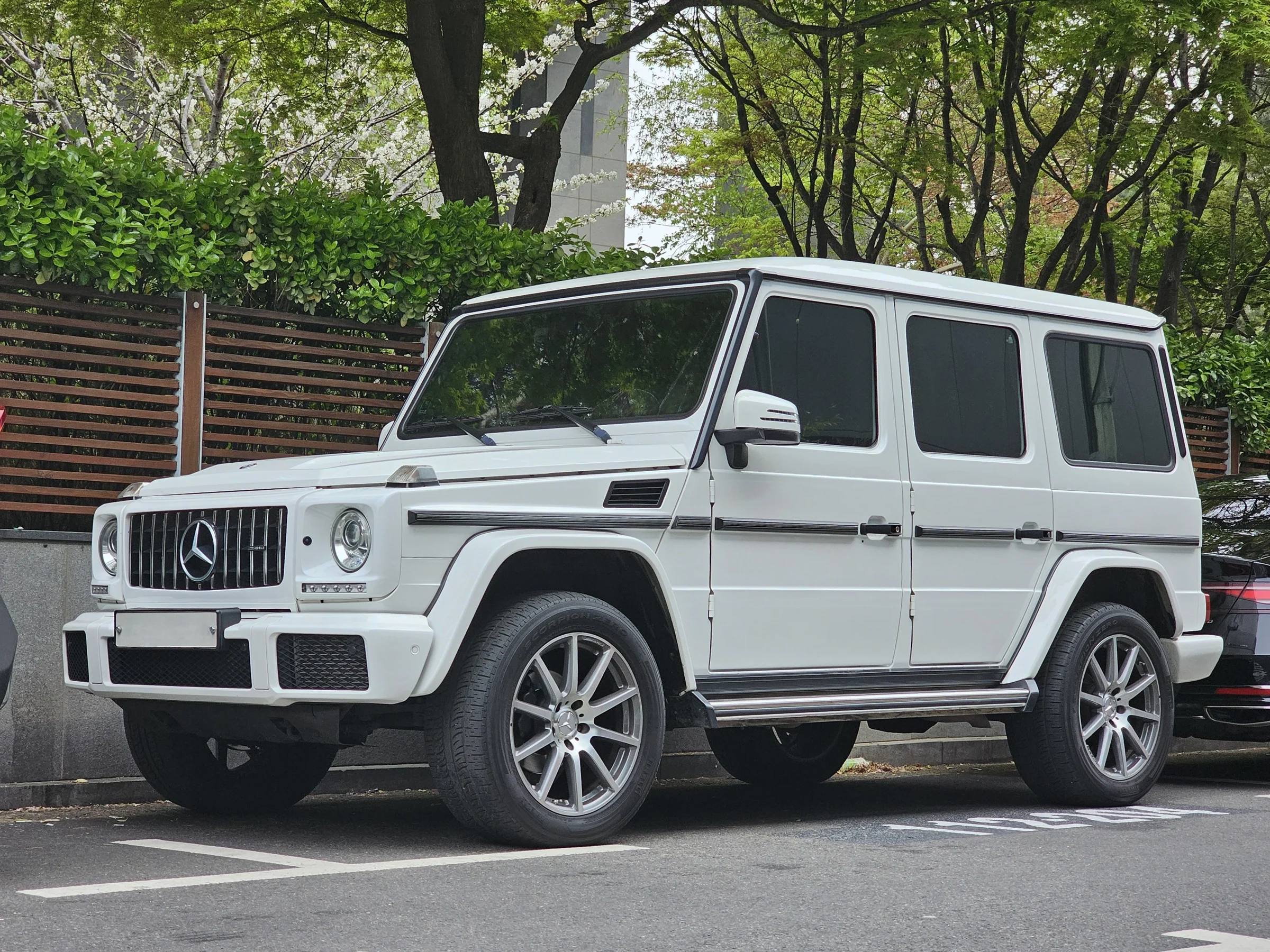 G 65 AMG