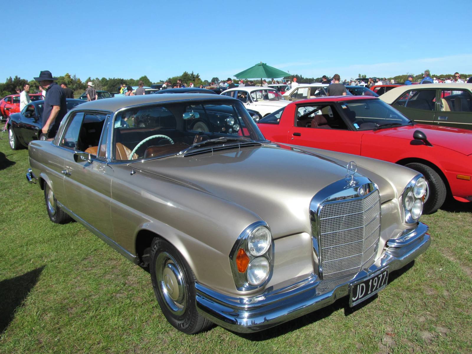 250 SE